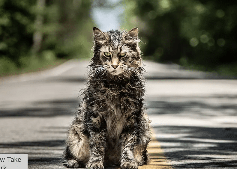 Read more about the article Pet Sematary, by Stephen King